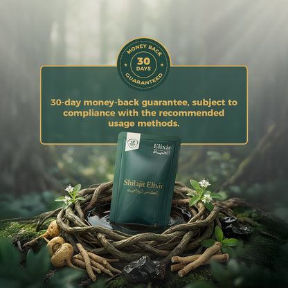 إلكسير شيلاجيت