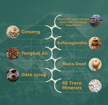 إلكسير شيلاجيت