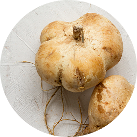 جذور الماكا